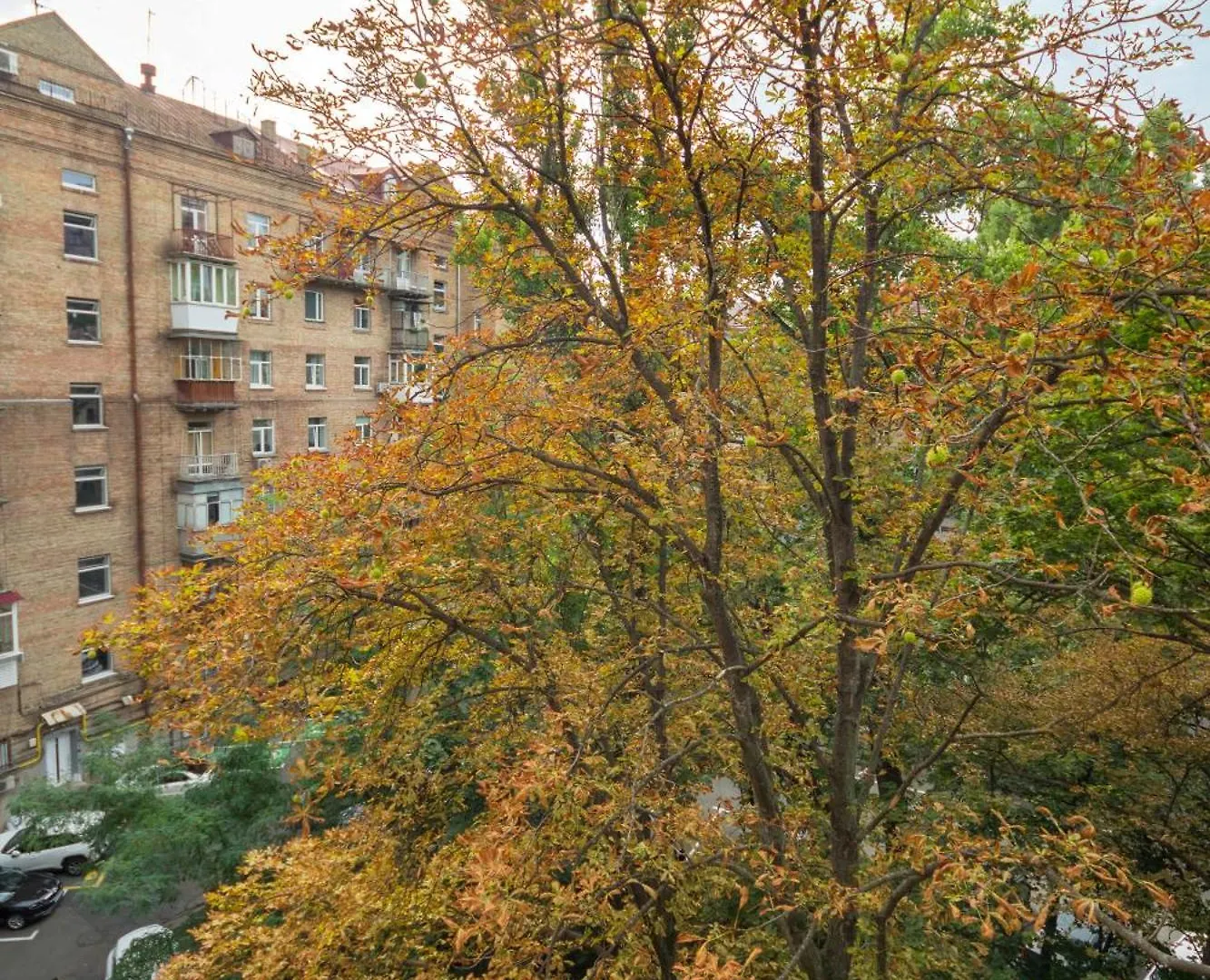 קייב Central Apartments 0*,  אוקראינה
